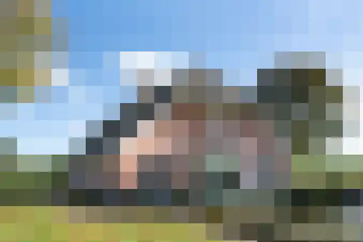 Buurtweg 46 Brummen thumbnail 36