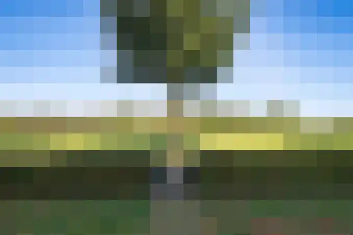 Buurtweg 46 Brummen thumbnail 38