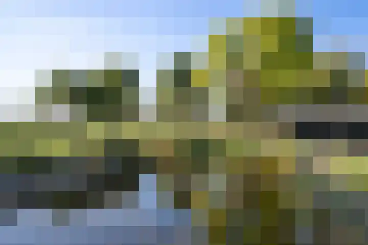 Buurtweg 46 Brummen thumbnail 4