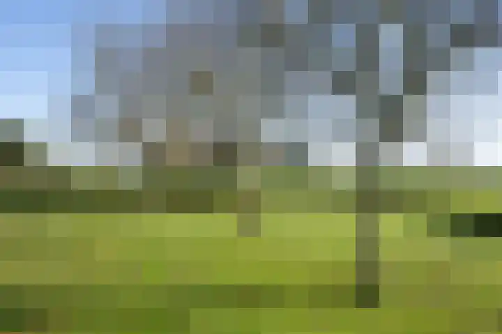 Buurtweg 46 Brummen thumbnail 41