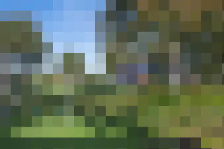 Buurtweg 46 Brummen thumbnail 42