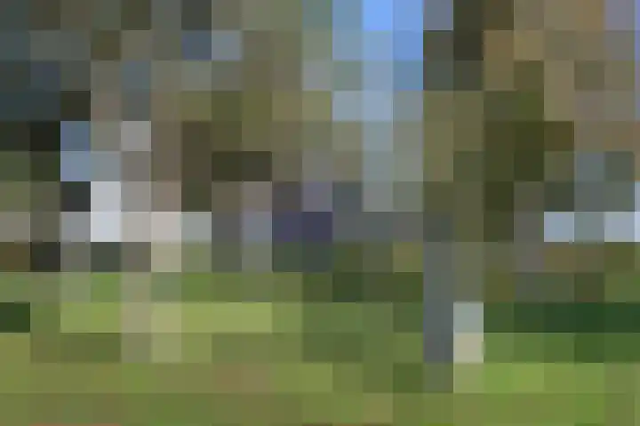 Buurtweg 46 Brummen thumbnail 44