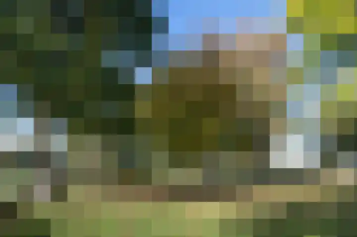 Buurtweg 46 Brummen thumbnail 45
