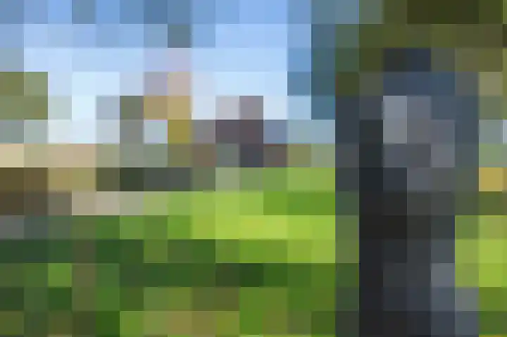 Buurtweg 46 Brummen thumbnail 47
