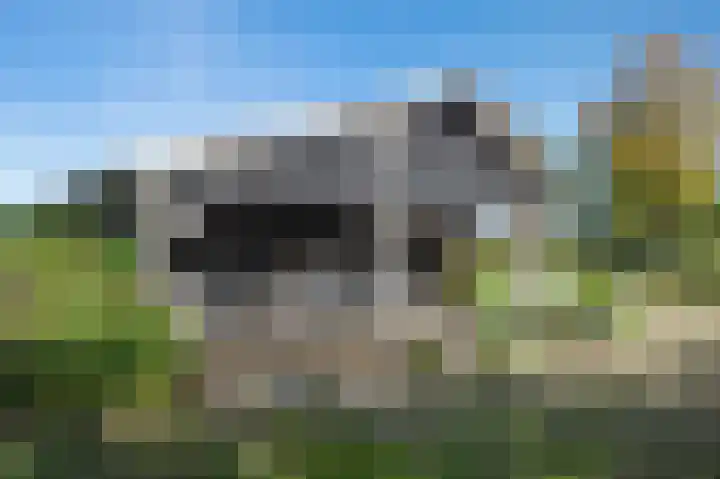 Buurtweg 46 Brummen thumbnail 48