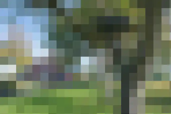 Buurtweg 46 Brummen thumbnail 49
