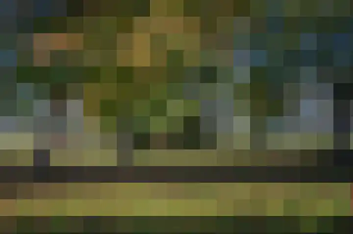 Buurtweg 46 Brummen thumbnail 50