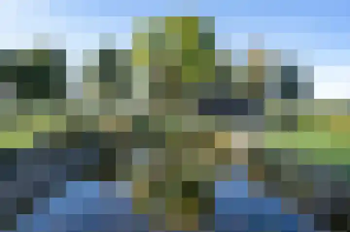 Buurtweg 46 Brummen thumbnail 57