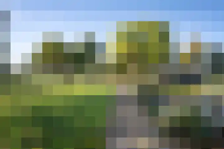 Buurtweg 46 Brummen thumbnail 58