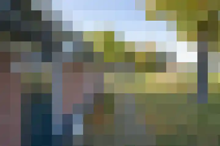 Buurtweg 46 Brummen thumbnail 59
