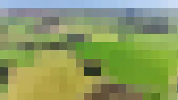 Buurtweg 46 Brummen thumbnail 6