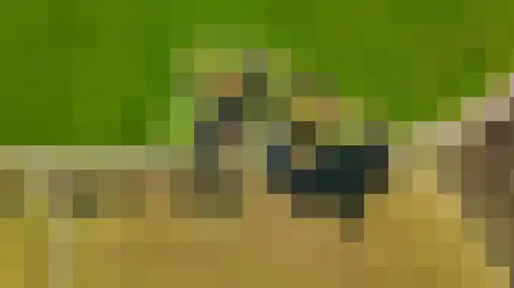 Buurtweg 46 Brummen thumbnail 64