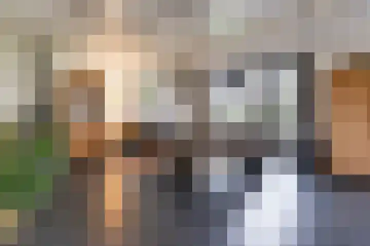 Buurtweg 46 Brummen thumbnail 8