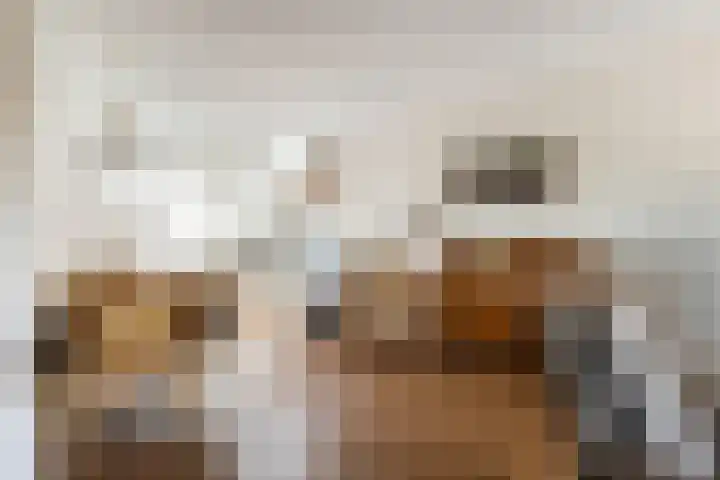 Buurtweg 5 A Ederveen thumbnail 10
