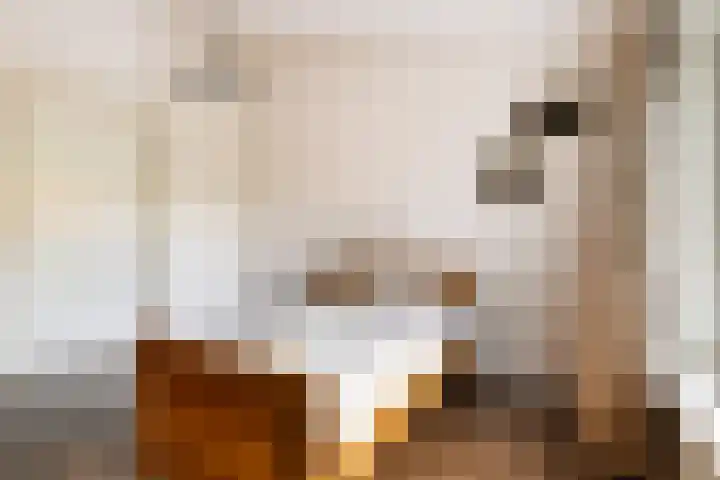 Buurtweg 5 A Ederveen thumbnail 17