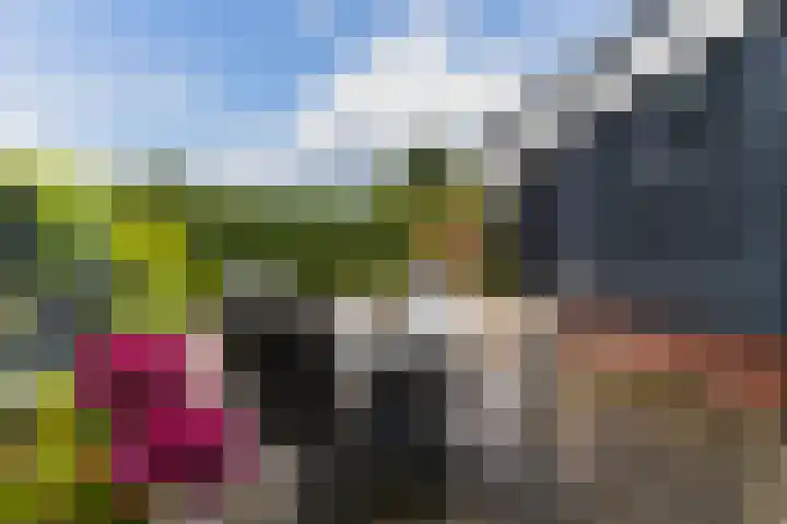 Buurtweg 5 A Ederveen thumbnail 37