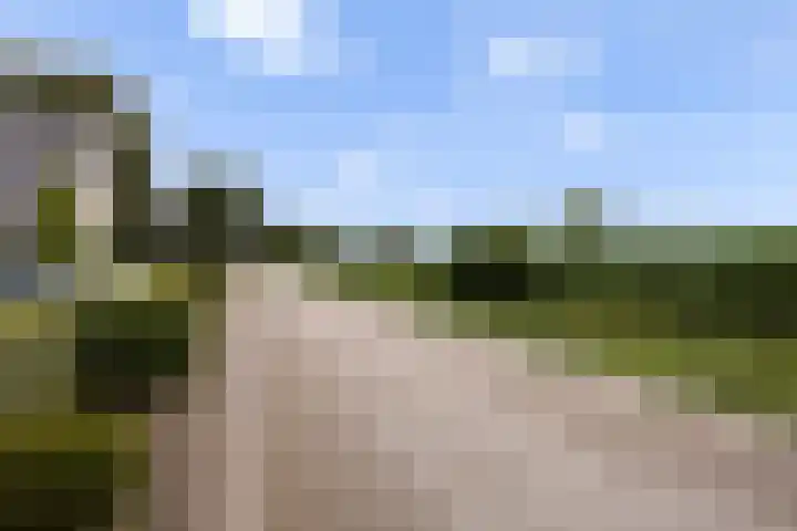 Buurtweg 5 A Ederveen thumbnail 42