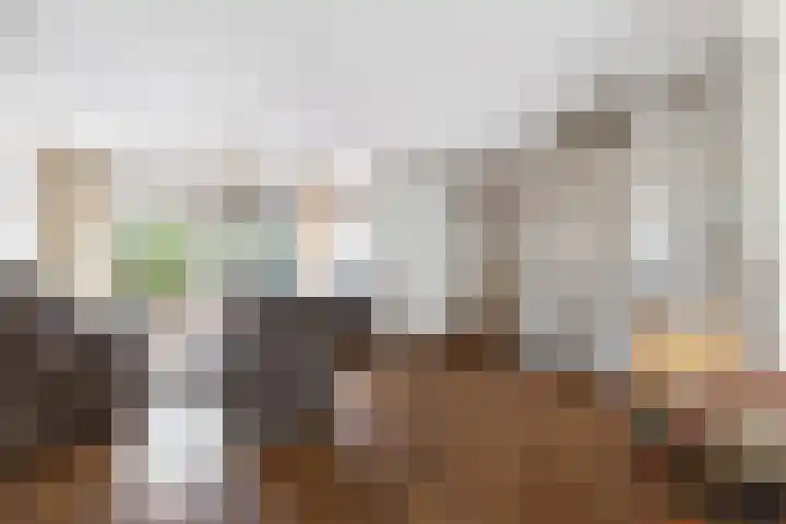 Buurtweg 5 A Ederveen thumbnail 7