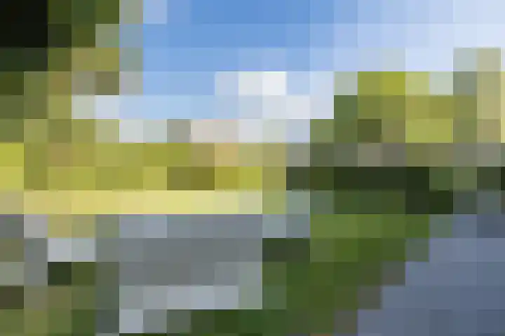 Buurtweg 65 Halsteren thumbnail 11
