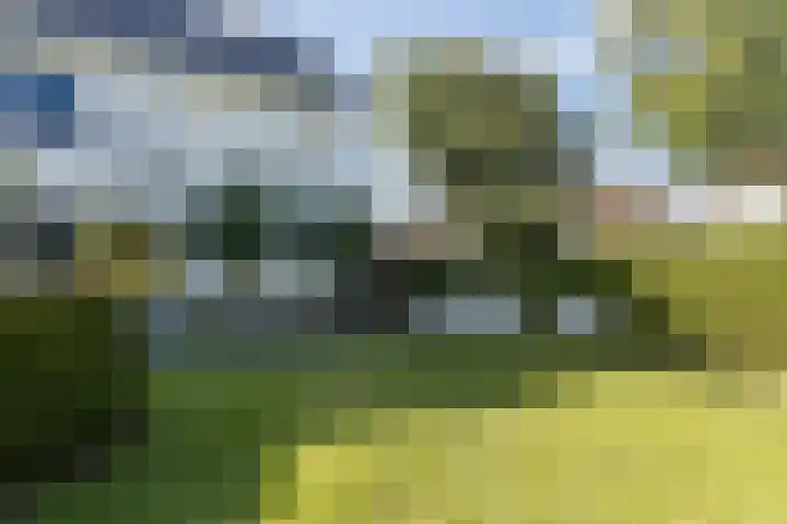 Buurtweg 65 Halsteren thumbnail 13