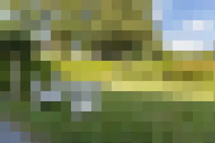 Buurtweg 65 Halsteren thumbnail 14