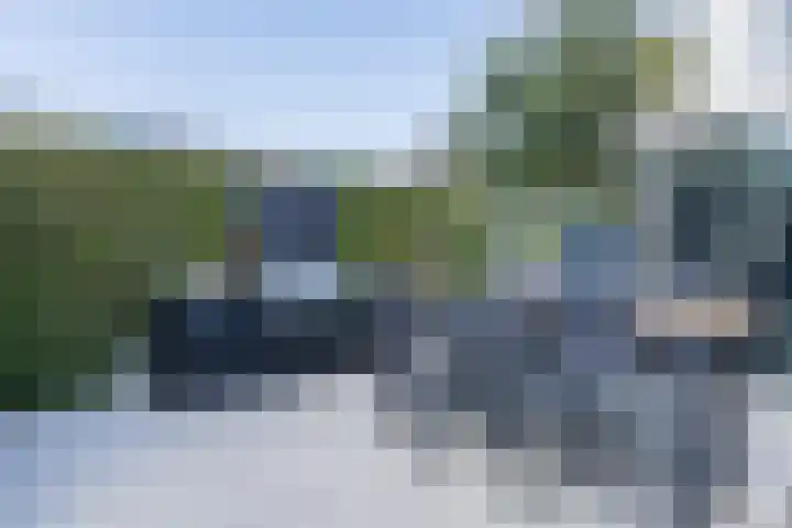 Buurtweg 65 Halsteren thumbnail 19