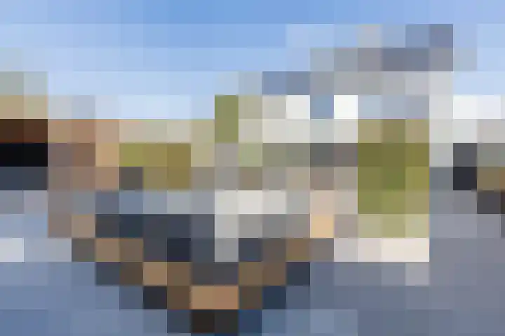 Buurtweg 65 Halsteren thumbnail 21