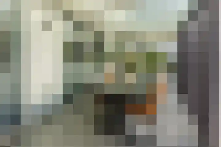 Buurtweg 65 Halsteren thumbnail 22