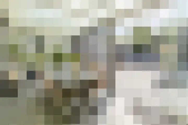 Buurtweg 65 Halsteren thumbnail 23
