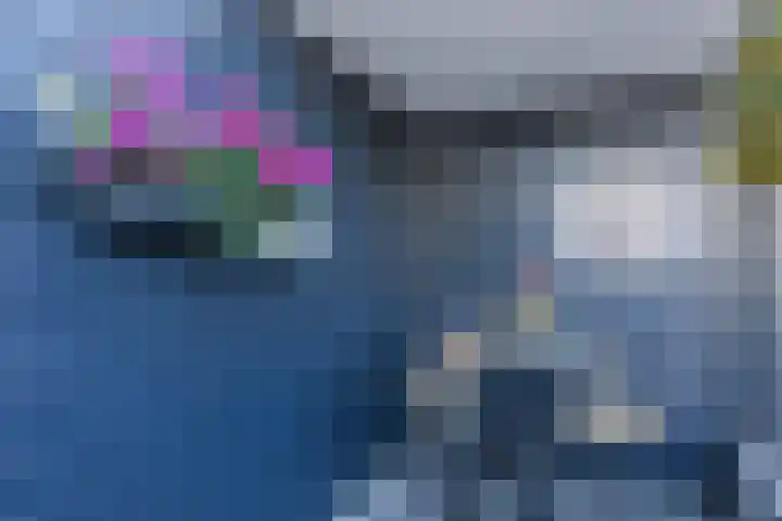 Buurtweg 65 Halsteren thumbnail 31