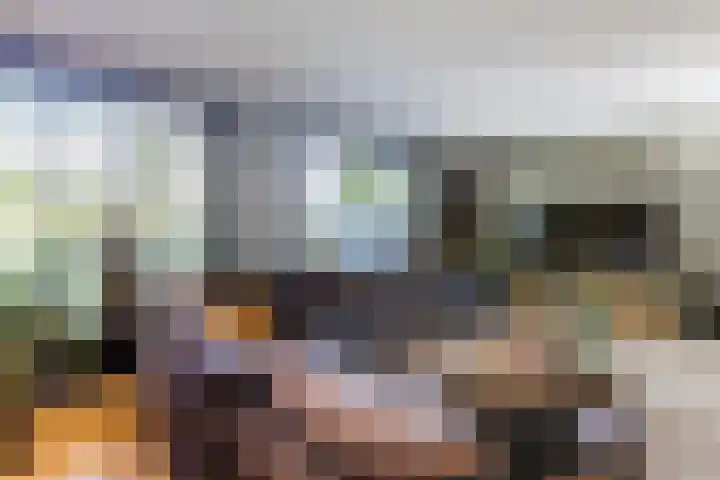 Buurtweg 65 Halsteren thumbnail 37