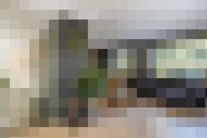 Buurtweg 65 Halsteren thumbnail 38