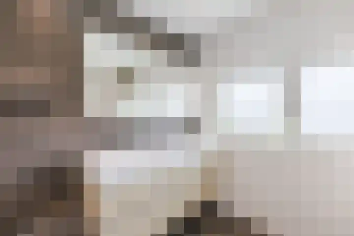 Buurtweg 65 Halsteren thumbnail 4