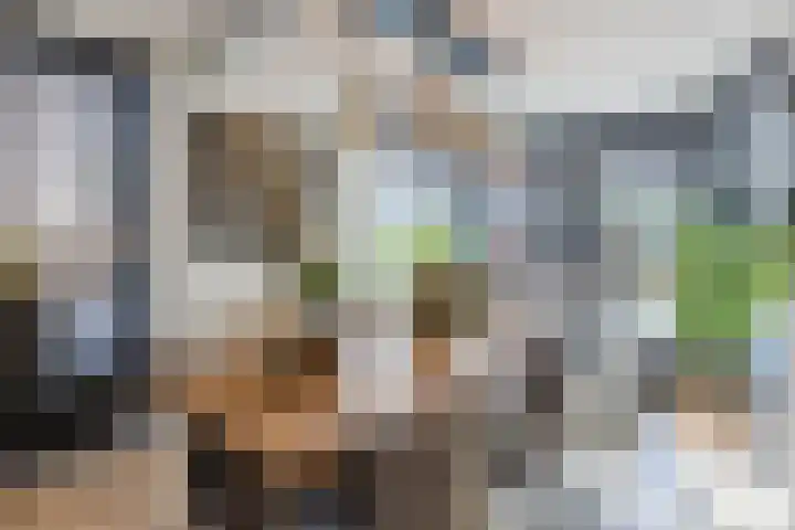 Buurtweg 65 Halsteren thumbnail 41