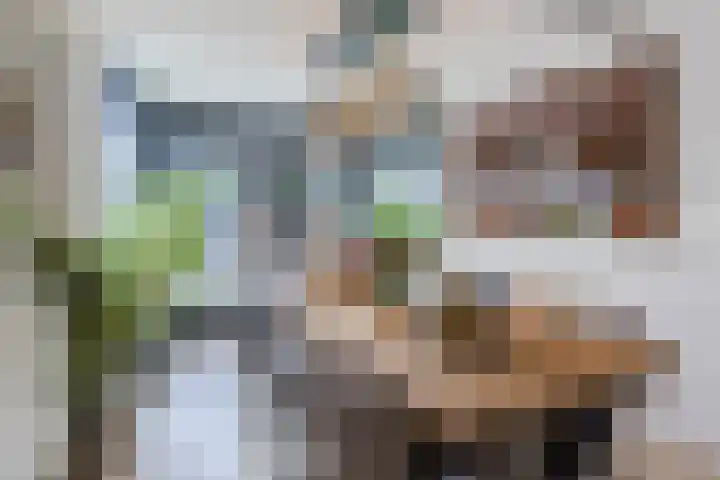 Buurtweg 65 Halsteren thumbnail 42