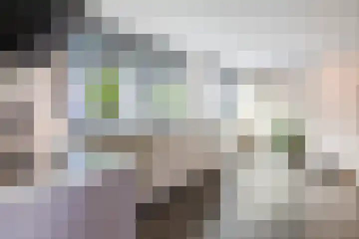 Buurtweg 65 Halsteren thumbnail 43