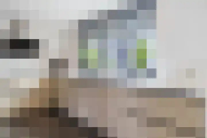 Buurtweg 65 Halsteren thumbnail 44