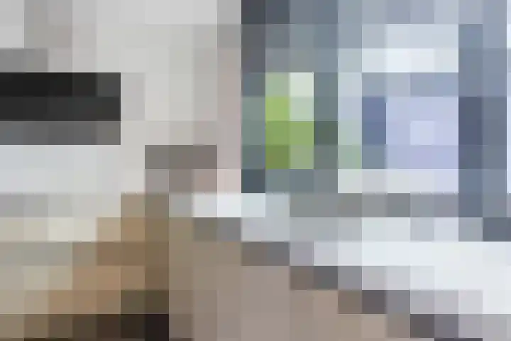 Buurtweg 65 Halsteren thumbnail 45