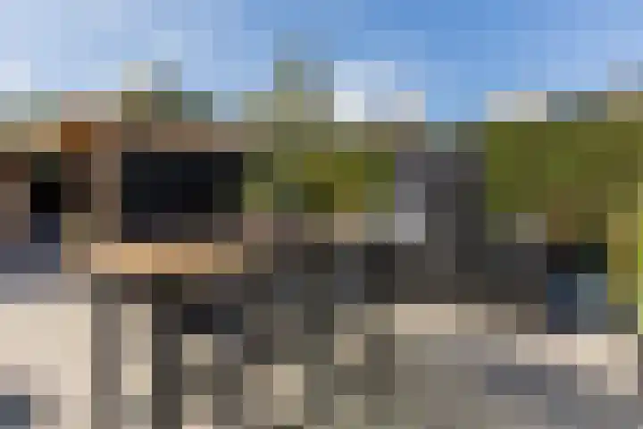 Buurtweg 65 Halsteren thumbnail 5