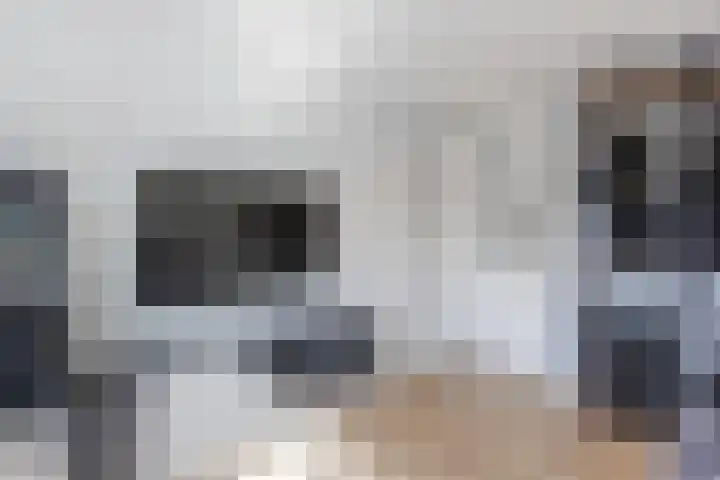 Buurtweg 65 Halsteren thumbnail 54