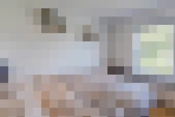 Buurtweg 65 Halsteren thumbnail 55