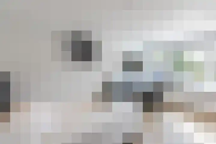 Buurtweg 65 Halsteren thumbnail 58