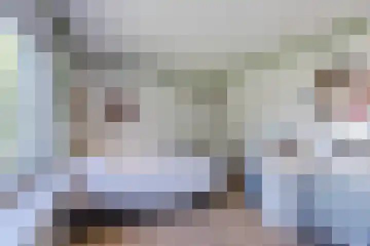 Buurtweg 65 Halsteren thumbnail 64