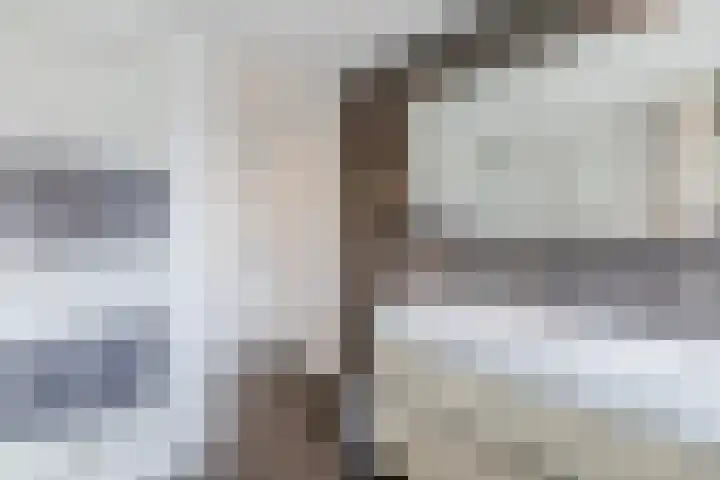 Buurtweg 65 Halsteren thumbnail 69