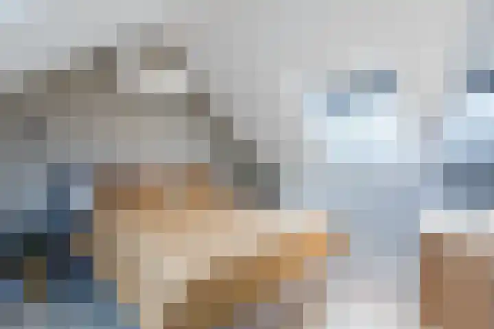 Buurtweg 65 Halsteren thumbnail 76