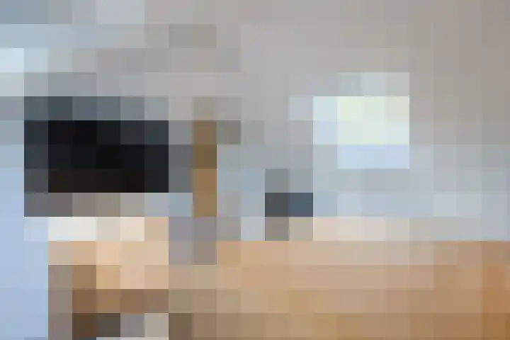 Buurtweg 65 Halsteren thumbnail 79
