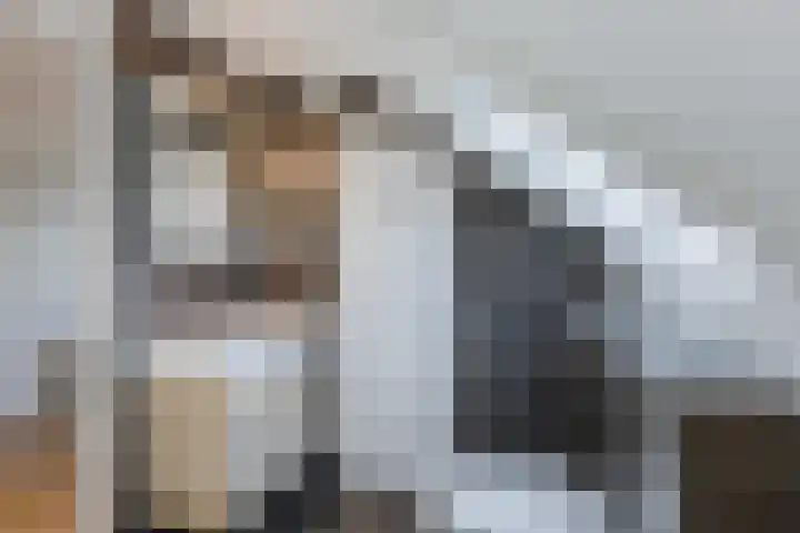 Buurtweg 65 Halsteren thumbnail 83