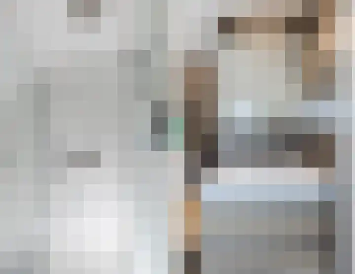 Buurtweg 65 Halsteren thumbnail 87
