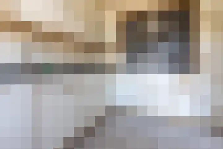 Buurtweg 70 Halsteren thumbnail 12