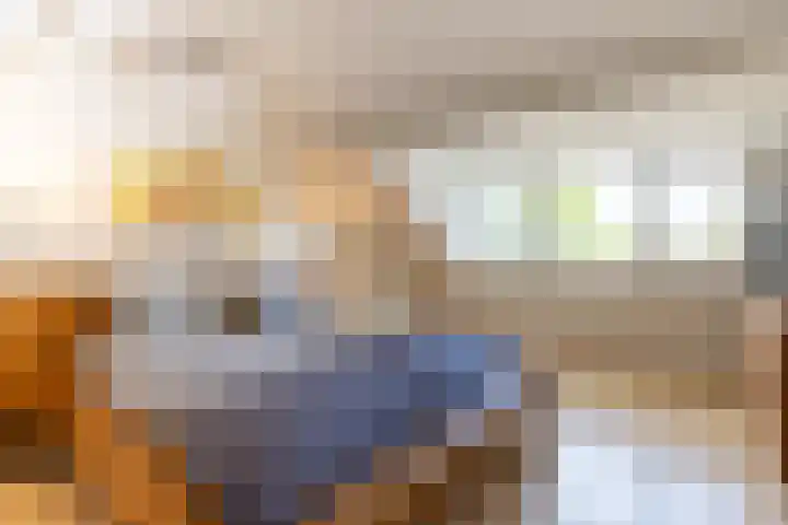 Buurtweg 70 Halsteren thumbnail 39